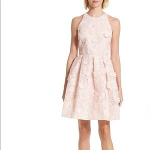 Ted Baker London - Lace Floral Skater Dress